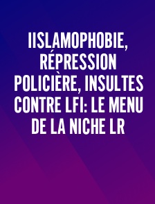 Iislamophobie, répression policière, insultes contre LFI: le menu de la niche LR