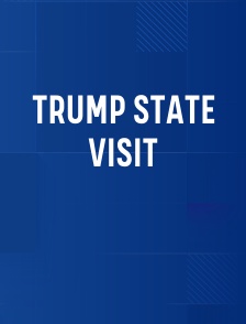 Trump State Visit