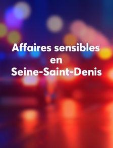 Affaires sensibles en Seine-Saint-Denis