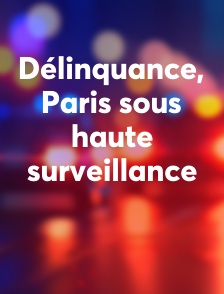 Délinquance, Paris sous haute surveillance