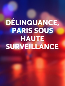 Délinquance, Paris sous haute surveillance