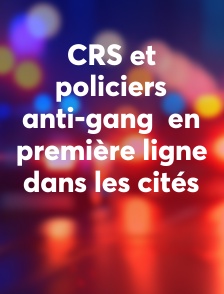 CRS et policiers anti-gang  en première ligne dans les cités