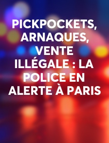 Pickpockets, arnaques, vente illégale : la police en alerte à Paris