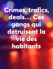 Crimes, trafics, deals… Ces gangs qui détruisent la vie des habitants