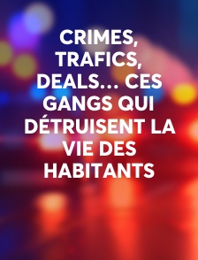 Crimes, trafics, deals… Ces gangs qui détruisent la vie des habitants