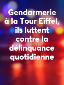 Gendarmerie à la Tour Eiffel, ils luttent contre la délinquance quotidienne