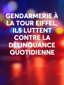 Gendarmerie à la Tour Eiffel, ils luttent contre la délinquance quotidienne