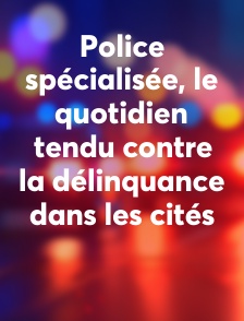 Police spécialisée, le quotidien tendu contre la délinquance dans les cités
