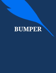 Bumper