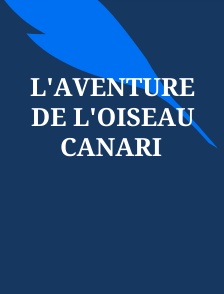 L'aventure de l'oiseau Canari