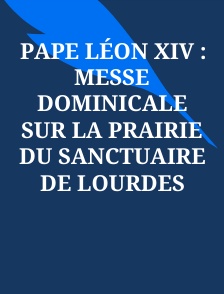 Pape Léon XIV : Messe dominicale sur la prairie du Sanctuaire de Lourdes