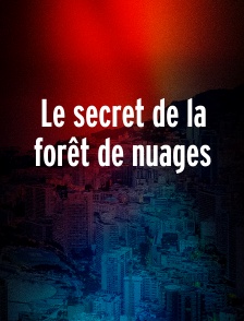 Le secret de la forêt de nuages