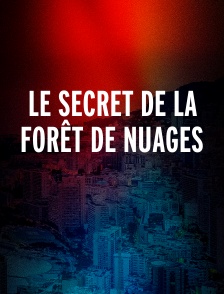 Le secret de la forêt de nuages