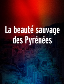 La beauté sauvage des Pyrénées