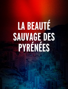 La beauté sauvage des Pyrénées