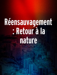 Réensauvagement : Retour à la nature