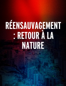 Réensauvagement : Retour à la nature