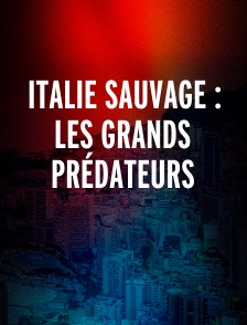 Italie sauvage : Les grands prédateurs