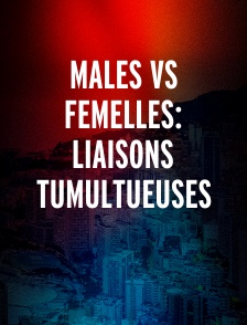 MALES VS FEMELLES: LIAISONS TUMULTUEUSES