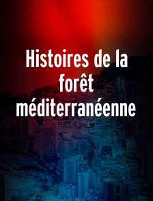 Histoires de la forêt méditerranéenne