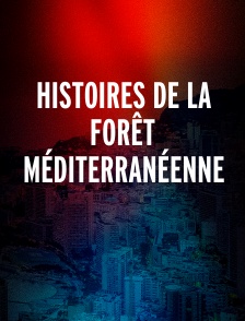 Histoires de la forêt méditerranéenne