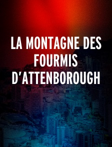 LA MONTAGNE DES FOURMIS D’ATTENBOROUGH