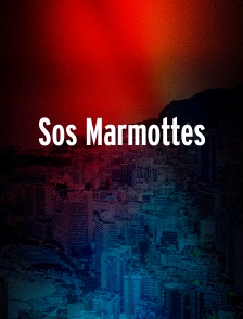 Sos Marmottes