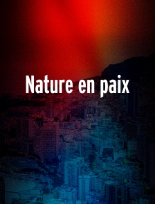 Nature en paix