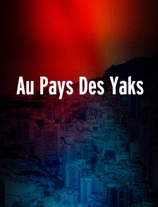Au Pays Des Yaks