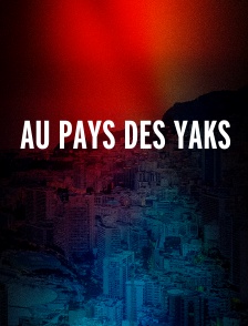 Au Pays Des Yaks
