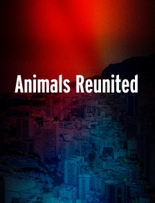 Animals Reunited