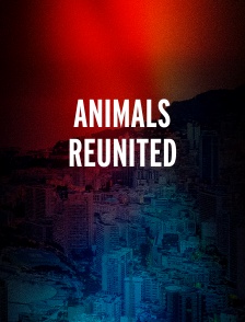 Animals Reunited