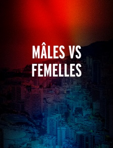 Mâles vs femelles