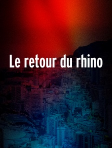 Le retour du rhino