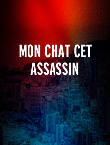 Mon chat cet assassin