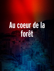 Au coeur de la forêt
