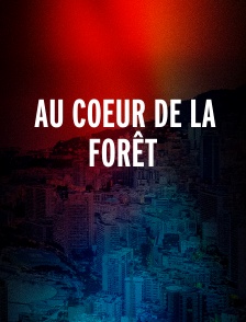 Au coeur de la forêt