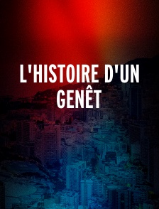 L'histoire d'un Genêt