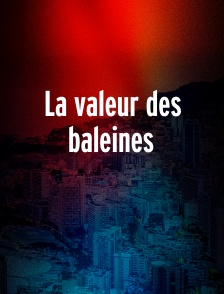 La valeur des baleines
