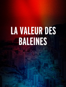 La valeur des baleines