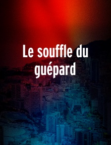 Le souffle du guépard