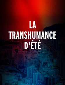 La transhumance d'été