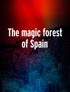 The magic forest of Spain