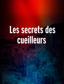 Les secrets des cueilleurs