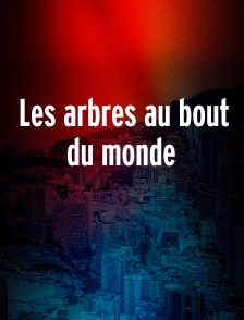 Les arbres au bout du monde