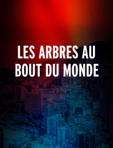 Les arbres au bout du monde