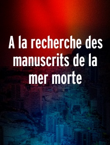 A la recherche des manuscrits de la mer morte