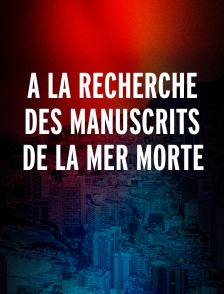 A la recherche des manuscrits de la mer morte