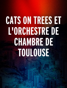 Cats on Trees et l'Orchestre de chambre de Toulouse