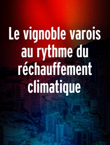 Le vignoble varois au rythme du réchauffement climatique